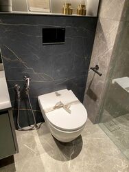 Irwell Hill Residences (D9), Apartment #465937721